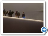 229 STRADA NEL DESERTO